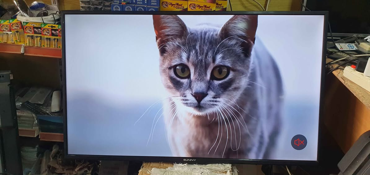 تەلەڤیزۆنی سەنی سمارتە قەبارە 50 ئەندرۆید
5 نرخی 160000 لە هەولێرە پەیوەندی بکەن
بە واتساپ و ڤایبەر *********** أربيل, العراق
