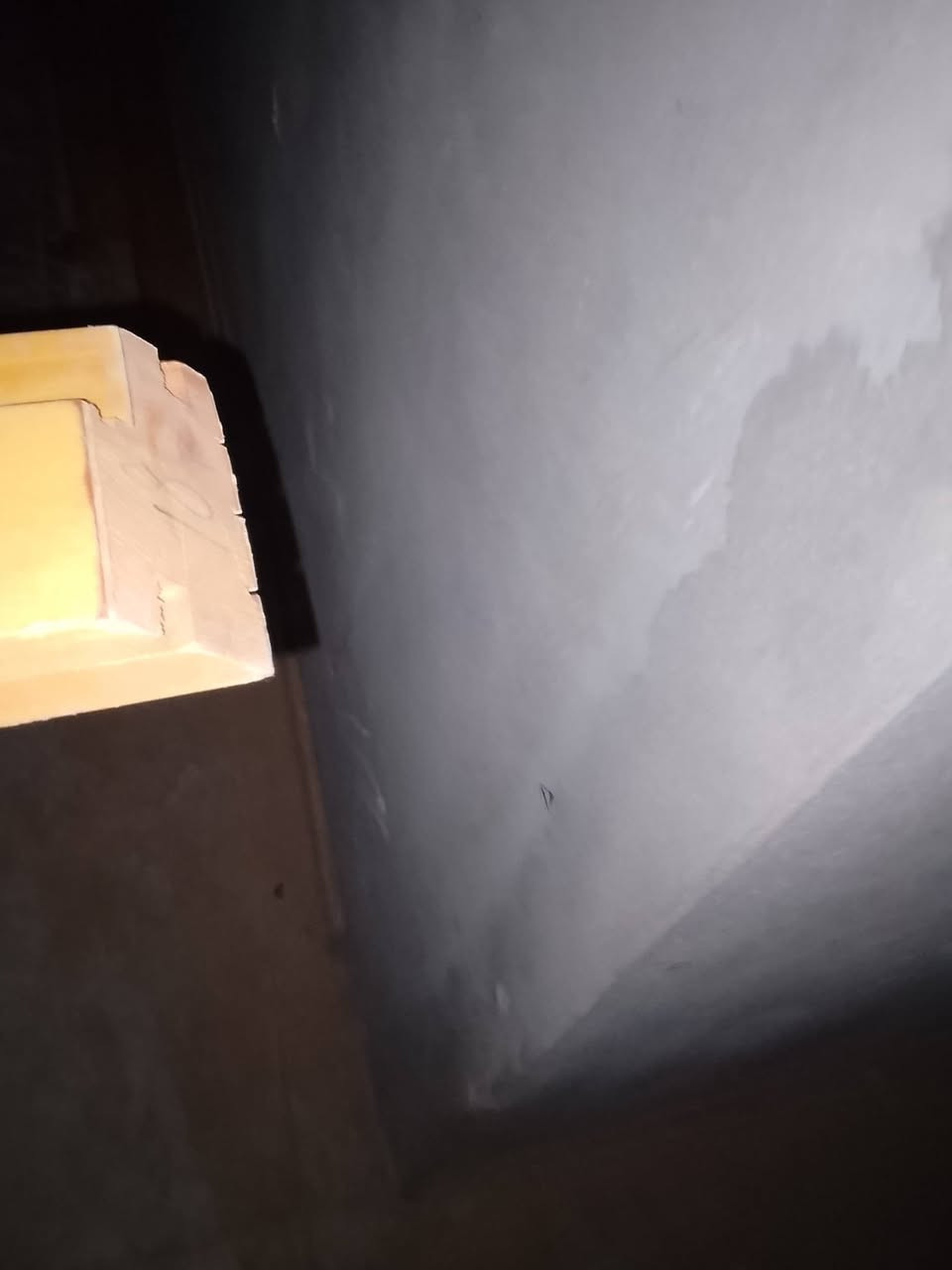 عندي 2ابواب تركيه داخليه عرضهم70 ونا بابي عرضه100 هل يوجد حل للباب او بنبيع بالقفاص سعر الواحد400
0910202289


**إذا كنت صاحب هذا الإعلان وتريد حذفه لأي سبب، رجاءا أرسل رسالة إلى الدعم الفني**
