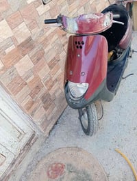 منغولي • فحل • ٤ كير