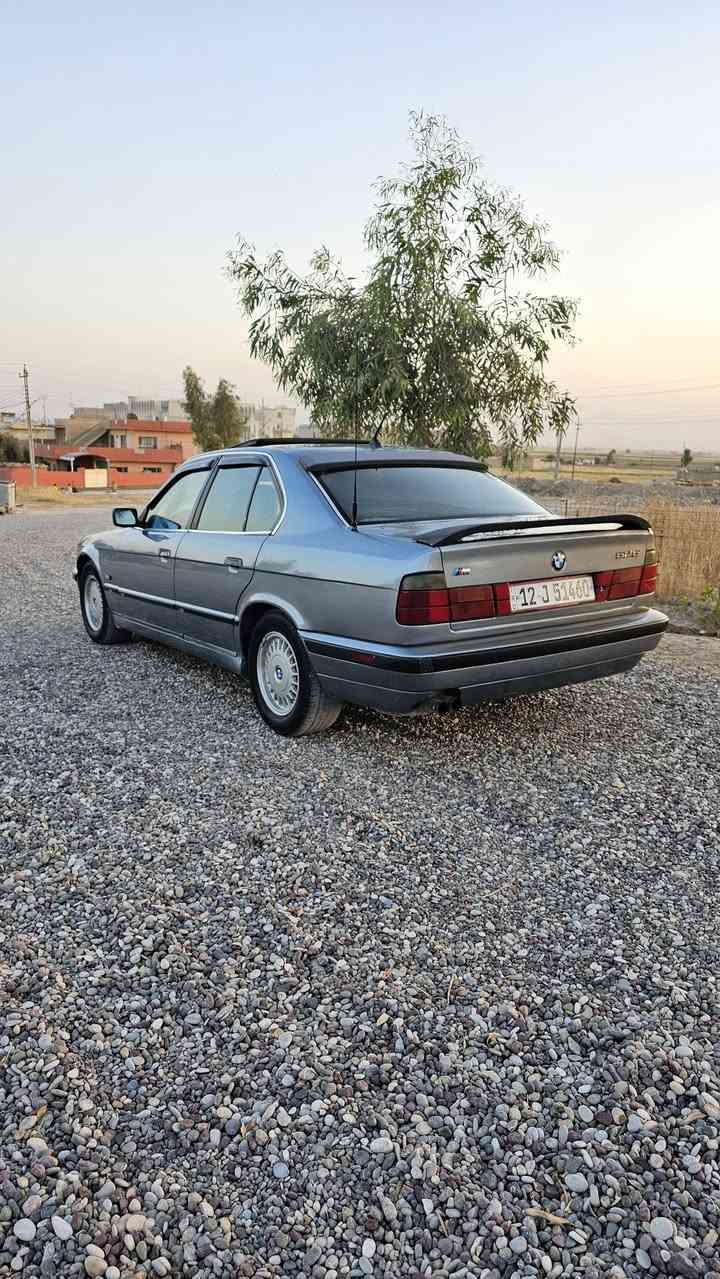 525 بيع او مروس السعر ٤٢ الرقم ***********
