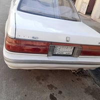 هارتوب بيضه • ١٩٩١ • رقم نينوى