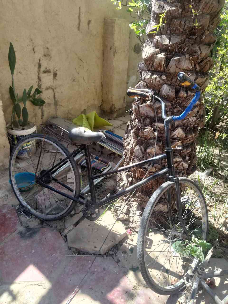 باسكلات لبيع 3 كلهن ب 10 
المكان مشخاب


**إذا كنت صاحب هذا الإعلان وتريد حذفه لأي سبب، رجاءا أرسل رسالة إلى الدعم الفني**