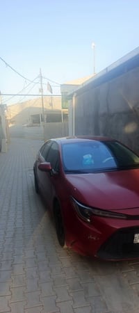 كورلا امريكي • ٢٠٢٠ • كربلاء