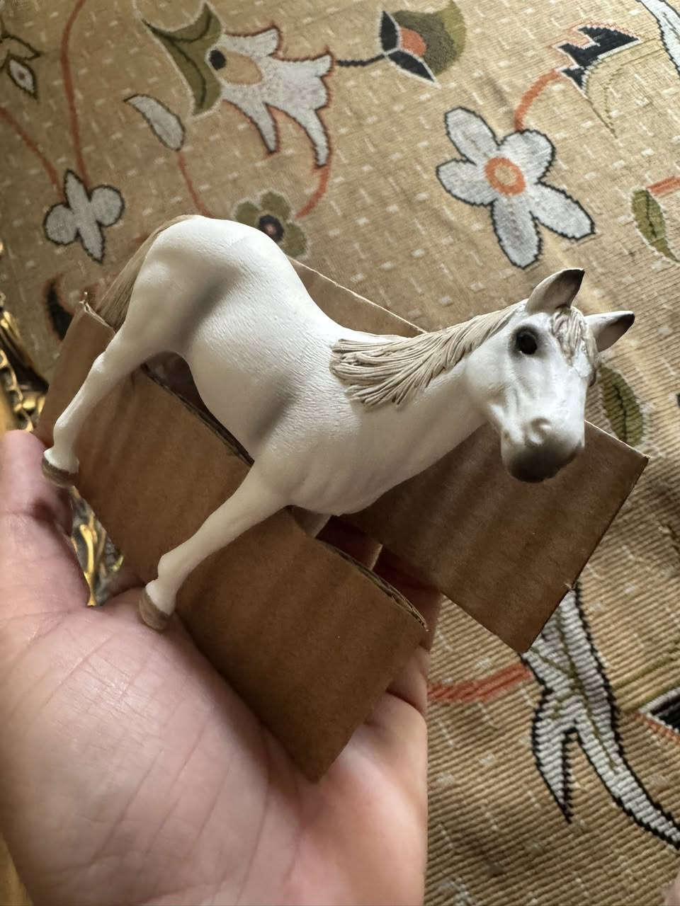 للبيع هاي مجسمات يمكن مال كابوي وهيج


**إذا كنت صاحب هذا الإعلان وتريد حذفه لأي سبب، رجاءا أرسل رسالة إلى الدعم الفني**