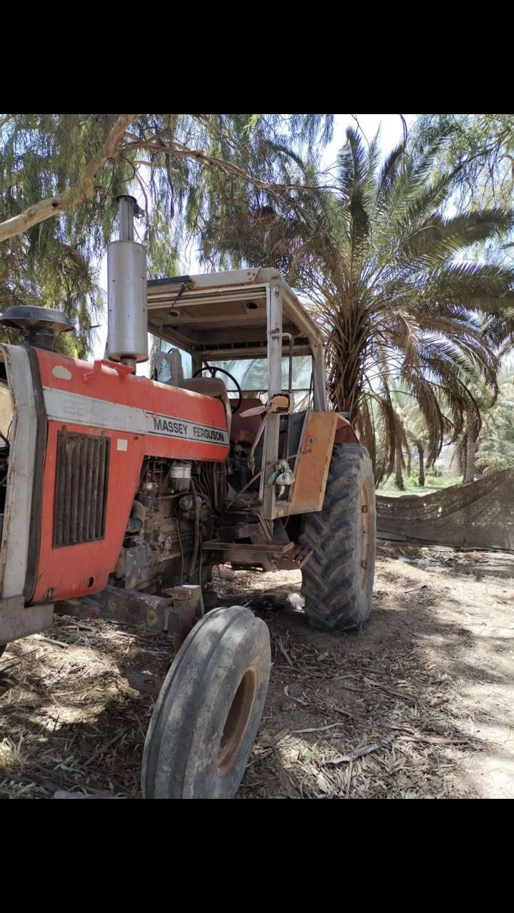 البيع سنويه بسمي
الادوات فدان سجينه خرماشه 
مكان بابل ***********
