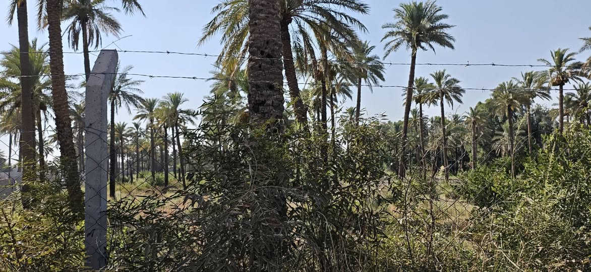 للبيع دونم طابو ملك صرف الواجهة 50والجزال 50 المكان الدوره البوعيثه مباشر عالشارع الاستفسار ***********
