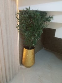 زرعة • للبيع • رخيصة