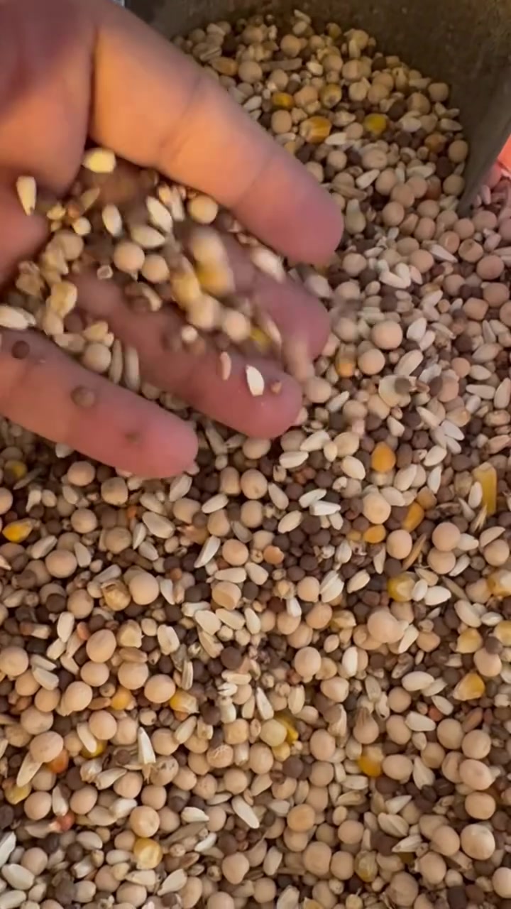 السلام عليكم اكل طيور كافة الانواع يتواجد ماركت ابو امير المحمداوي وارخص الاسعار 5 كيالو فقط ب4500 توصيل داخل حي البساتين موجود وتريد تجينه تنورنه بلماركت حي البساتين المدخل الاول من القناة بس اسئل ماركت ابو امير  مقابيل العياده الطبيه


**إذا كنت صاحب هذا الإعلان وتريد حذفه لأي سبب، رجاءا أرسل رسالة إلى الدعم الفني**