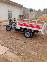 ستوته • موديل17 • كوت نعمانيه