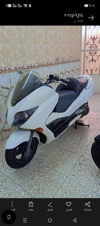 فورزه • نضيفه • بلجيس