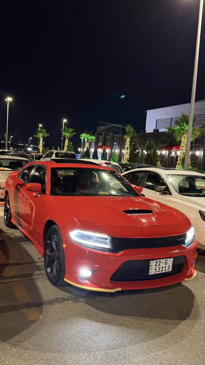 السلام عليكم دوج جارجر GT  موديل 2019 خليجي  وكاله هارلم رقم اللون برتقالي رقم اربيل الجديد سنويه جديده تحويل او وكاله فول مواصفات فتحه كشنات جلد شفتات ستيرن شاشه چبيره كفاله ضربه وتبديل وصبغ حته دعاميات مكينه وكير كفاله ماشيه 65 جديده السياره
مكان السياره اربيل 
***********
