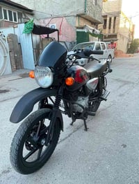 بوكسر • جبلي • ٢٠٢٣
