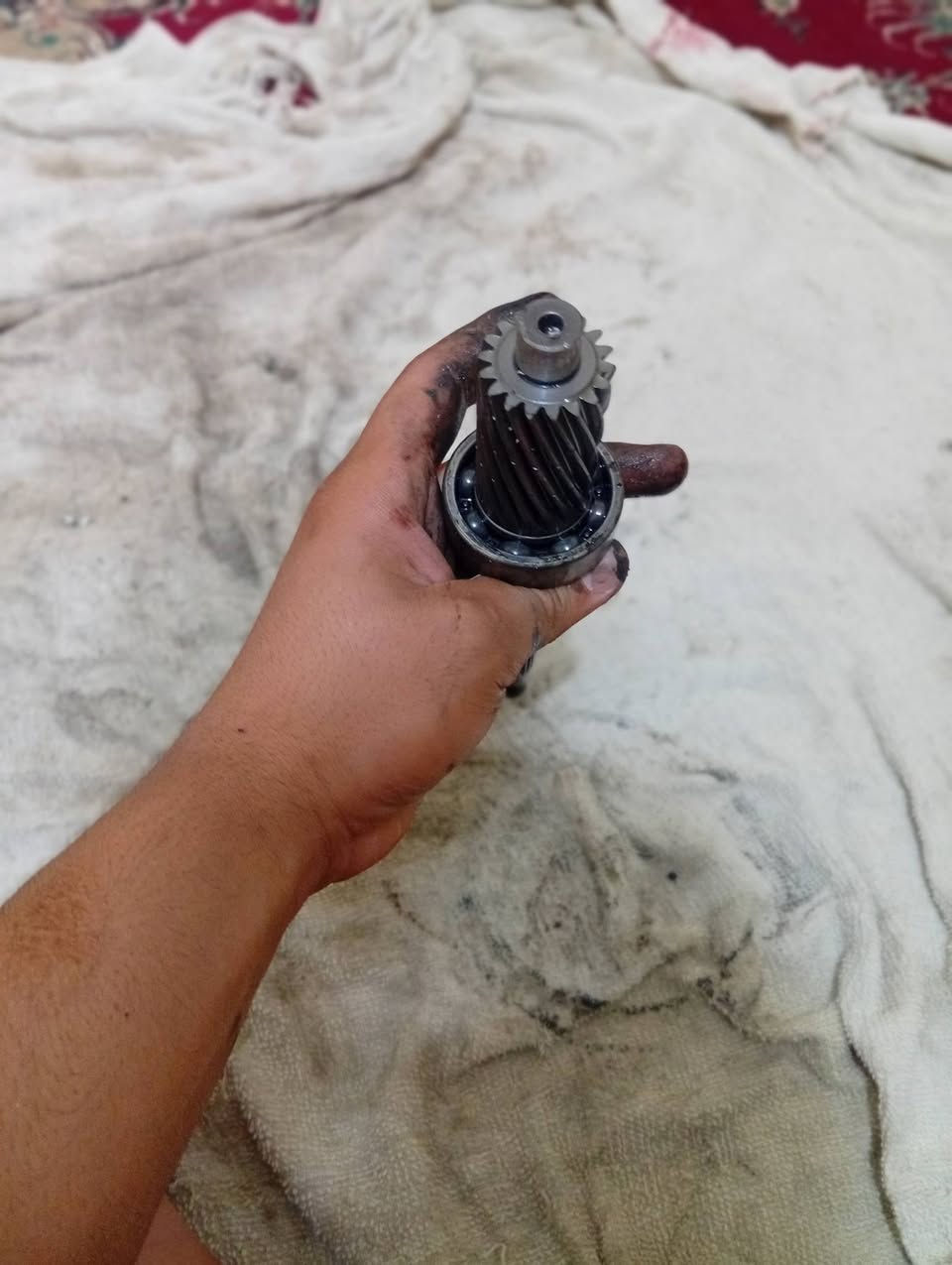 سلام عليكم شباب قراض دراجات تفصيخ بلادي جميع الفورزات السعر خاص عنوان البصره ***********
