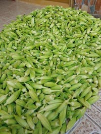 بغدادي • اتصال
