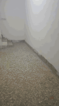 السلام عليكم بيت للأيجار في منطقة الرئاسة شارع ٢٠ قرب افران الزيتون البيت بي غرفتين وصالة ومطبخ وتانكي وسخان وخط سحب مولدة ايجار البيت 200 الف اريد عائلة
للأستفسار
***********
ابو محمد
