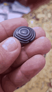 جزع حبشي قديم • ثقب ستندر • السماوه