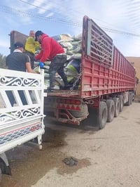 سماد عضوي • ريفكو • ١٠ طن