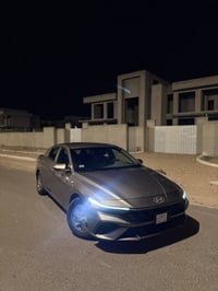 النترا • ٢٠٢٤ • وارد أمريكي
