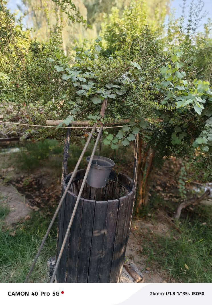 متاح مزرعه ١٦٠٠م علئ طريق كربلاء بغداد او طريق ياحسين مقابيل منتزه الارجوان جنسة الارض طابو زراعي سند ٢٥ مشجره كل انواع الاشجار جاهزه بناء ١٥٠ متر طابقين  الاستفسار الاتصال علئ الارقام 
*********** وتساب 
***********
جاهزون لعرض كافه العقارات الفلوجة, الأنبار
