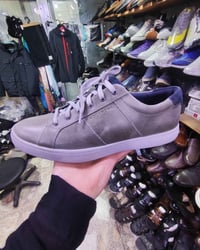 ركبورت • قياس ٤٦ • أصلي