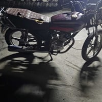 مراوس • ٢٠٢١ • بدون أوراق