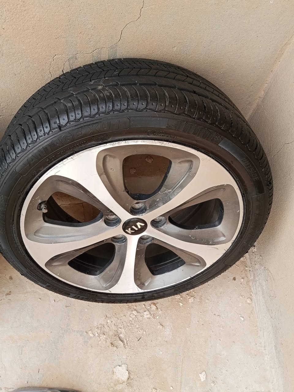 ويل سياره للبيع الحجم 18
السعر 450 وبي مجال


**إذا كنت صاحب هذا الإعلان وتريد حذفه لأي سبب، رجاءا أرسل رسالة إلى الدعم الفني**