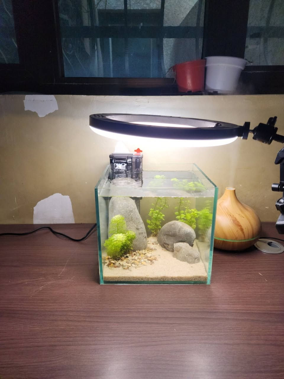 تصميم لحوض 20× 20 ×20🌿☘️🐠
للكلب والاستفسار خاص
يوجد توصيل لجميع المحافضات 🚛


**إذا كنت صاحب هذا الإعلان وتريد حذفه لأي سبب، رجاءا أرسل رسالة إلى الدعم الفني**