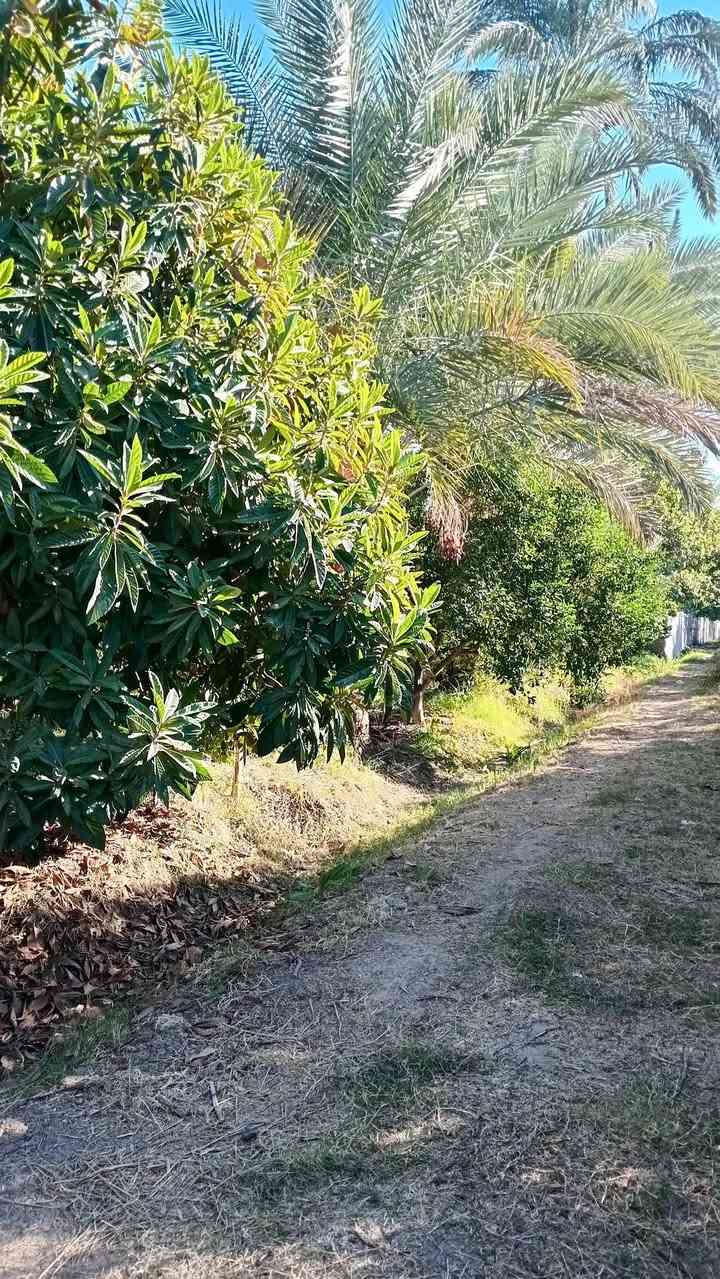 1150 متر طابو زراعي سند 25 تحويل مباشر بائسم المشتري وليس اقرار محكمة 
واجه 30 م ... بستان مشجره جميع الحمضيات والنخيل 
خدمات كامله كهرباء خطين ما اسله ماء سقي من نهر دجلة مباشر أسواق مدارس 
موقع راقي ترهم دار للأستراحة العنوان بغداد الراشدية قرب مزرعه عدنان 
***********
