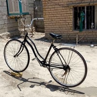 باسكل • حجم ٢٧ • الوركاء الكرامه