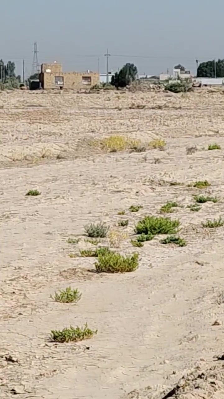 أرض زراعيه سكنيه للبيع طريق عفك ديوانيه ١٥ دونم سند ٢٥ منطقة الساده ال زواد قرب جسر السريع طريق الزوار
موبايل ***********
موبايل ***********
أرض زراعيه سكنيه للبيع طريق عفك ديوانيه ١٥ دونم سند ٢٥ منطقة الساده ال زواد قرب جسر السريع طريق الزوار

أرض زراعيه سكنيه للبيع طريق عفك ديوانيه ١٥ دونم سند ٢٥ منطقة الساده ال زواد قرب جسر السريع طريق الزوار

