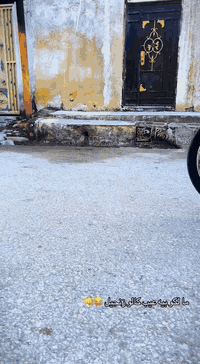 سلام عليكم نامه سكنر مديل 2026تعمير جديد مامفتوحه شلعه ومعدل نضافه كدامك رايده ب850بيه مجال اوراق رقم ***********مكان سماوه حي العسكري ❣️
