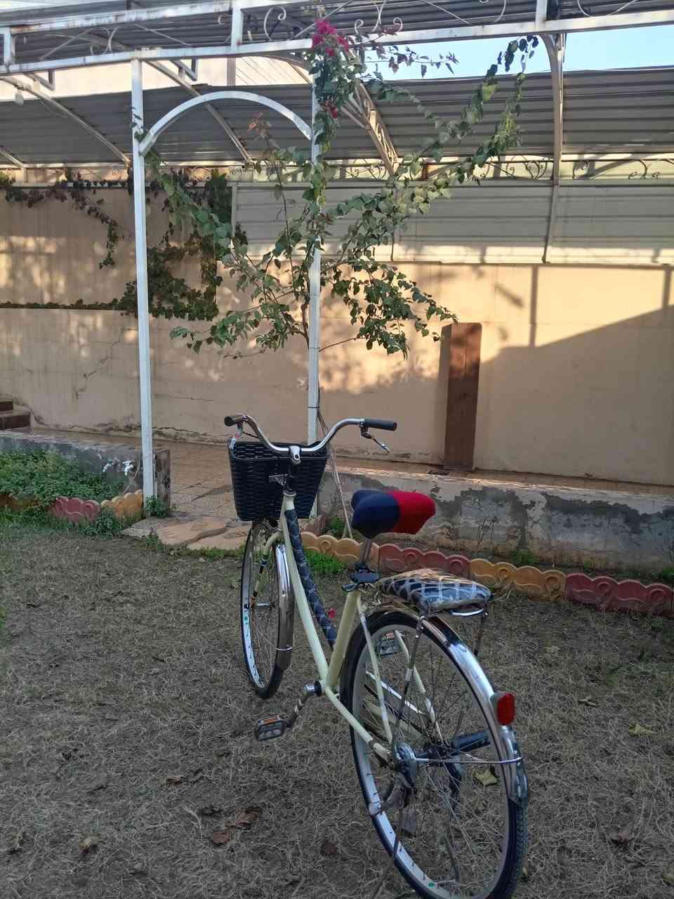 اسلام عليكم باستكل للبيع عبد الحليم حجم26 نضافه80باستكل جاهز ااسعر65 اوبي مجال الرقم ***********
