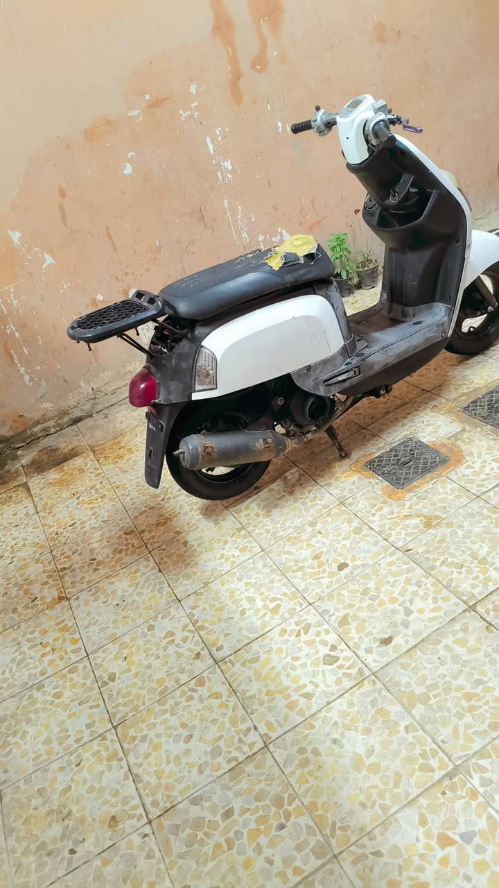 متاح لبيع بوليس نوزل نضيفه مثل ماواضح بالصوره دراجه ثالث تبديله دهن هستوني مصعد طابوكه جديده السعر خاص 
هاذا رقمي ***********
