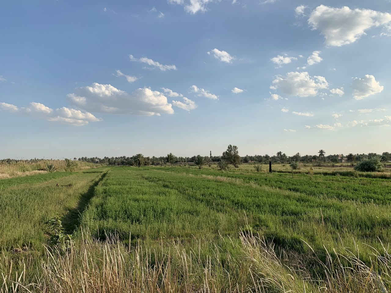 فرصه ذهبيه مزرعه ٦ دونم وربع طابو زراعي
كافة الخدمات 
طريق النيل القديم 
***********
