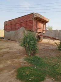 قاطره • ٧م • دناكير سكانيه