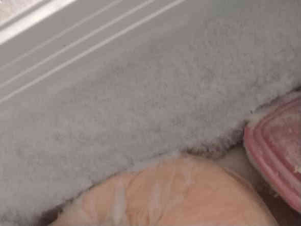 السلام عليكم مجمده  جديده للبيع  مكان ديالى بعقوبه كاطون الرازي  الرقم ***********السعر300
