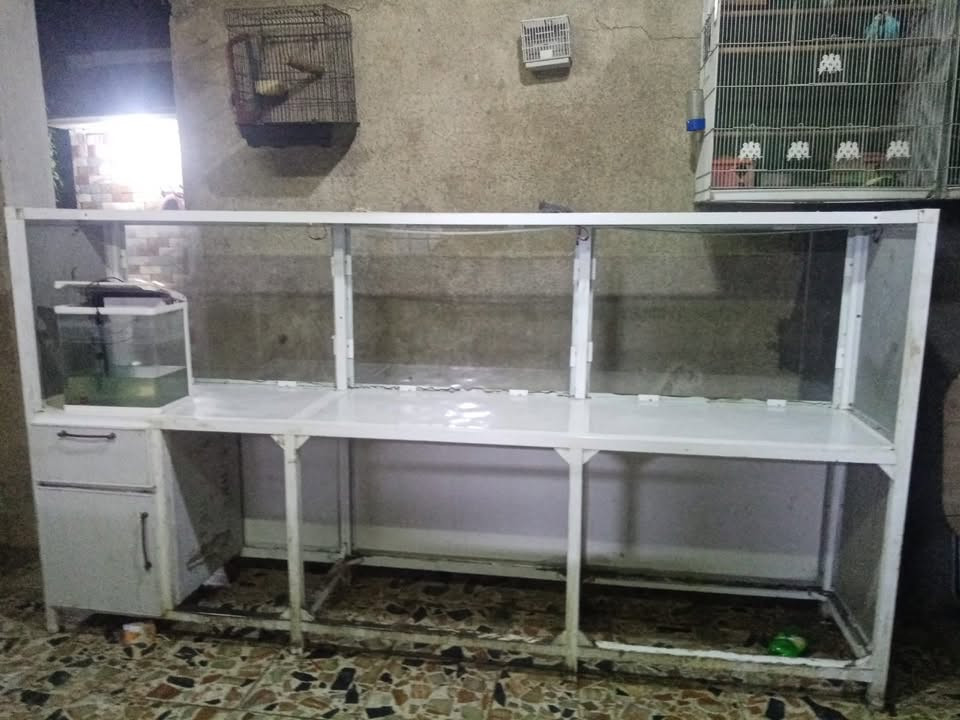 سلام عليكم باترينه الميوم ثقيل  كلشي ترهم البيع ٣ أمتار ونزال ٩٠/ *********** غير متواجد عل فيس
