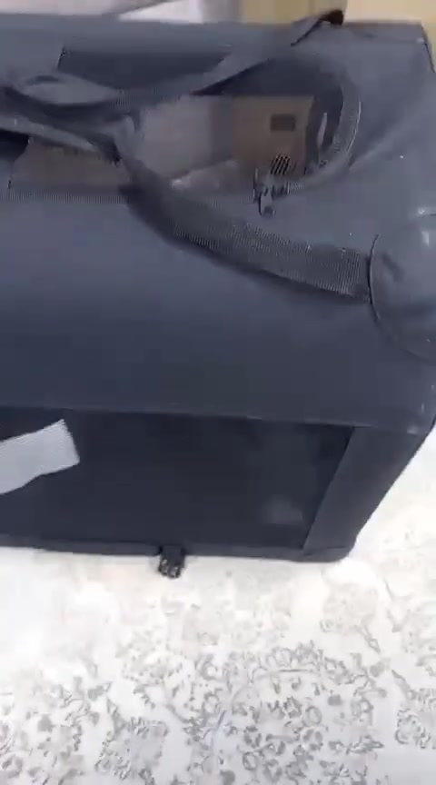 جديد


**إذا كنت صاحب هذا الإعلان وتريد حذفه لأي سبب، رجاءا أرسل رسالة إلى الدعم الفني**