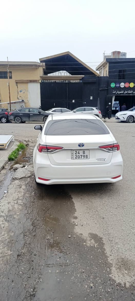 توێتە بیکاشو هایبرید شکل خلیجی 2024 تەنها دوو پەنجە ساردی هەیە 43 هەزار رۆیشتیە ناوسۆر هەموو شتی بەشەرت نرخ 152 شوێن هەولێر ***********
*********** أربيل, العراق
