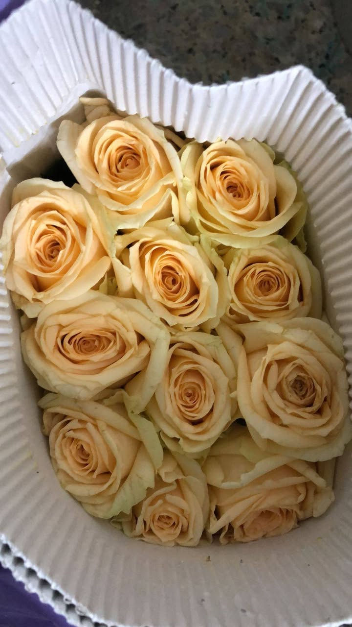 😊 #للتواصل مع *محل #بيبي #روز

#الموقع #الرفاعي، قرب #الجامعة #سومر
: باقات ورد #طبيعية، تنسيق حفلات، هدايا 🎁
- *التوصيل*: متوفر داخل الرفاعي 📍
- *رقم الهاتف *********** ]
