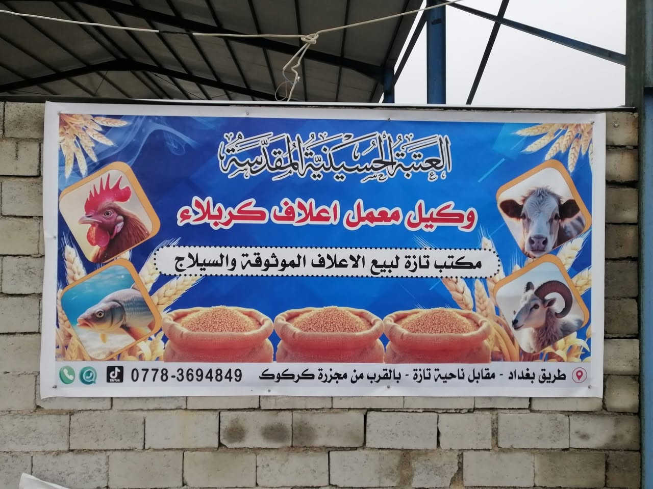 سلام عليكم اخوان الأعزاء وصلنه أعلاف درجة أولى من معمل أعلاف كربلاء علف  ممتاز جدا 
تسمين عجول بوقت قياسي
زيادة ودسامه حليب الأبقار  
تسمين وزيادة حليب الأغنام 
رقم هاتف ***********
عنوان طريق بغداد كركوك باالقرب من أسواق ابو احمد
