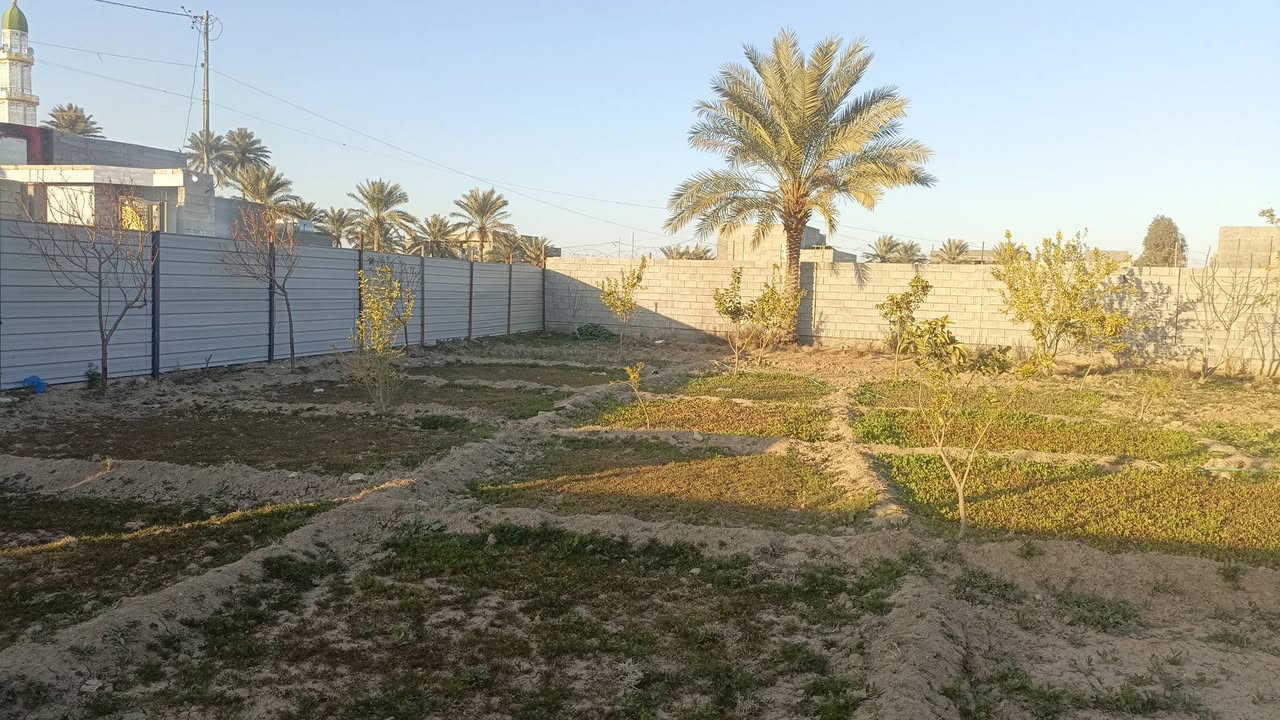 بسم الله وعلى بركة الله
أرض للبيع الرمادي الصوفية البوغانم  منطقة سكنية خدمات كاملة 
مساحة 900م 
30×30 م
عرض الشارع 5 متر قريبة من شارع الرئيسي سايدين الحولي 
قرب جامع العزيز الجبار 

 الأرض طابو زراعي سند 25 ورثة شرعيين 
البيع يكون تعهد عشائري + مكاتبة مع ضمان التعهد بالتحويل مستقبلاً 
ممكن بيع نصف المساحة 
الأرض مسيجة بالكامل ومزروعة أشجار 

 لطلب السعر أترك تعليق ✒️
       
 يرجى التواصل  
‎***********
.
#عقارات_الانبار #قطع_اراضي #بيع_وشراء_الاراضي #الانبار #الرمادي #مكاتب_العقار
