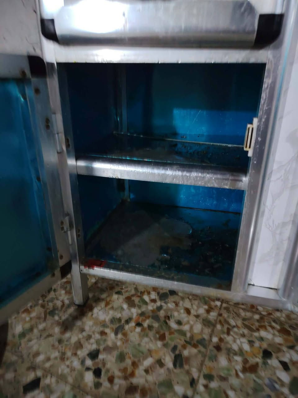 السلام عليكم سنك للبيع تسكام مابي اي ضرر نضيف جدا طوله متر ونص سعره ب٩٠ وبي مجال  للشراي بيع مستعجل مكان نجف....


**إذا كنت صاحب هذا الإعلان وتريد حذفه لأي سبب، رجاءا أرسل رسالة إلى الدعم الفني**