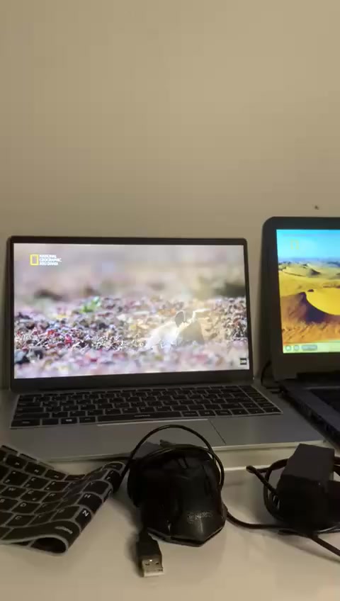 سلام عليكم
@
حاسبتين للبيع ثنينهن مستعجل
نضافة 90 بالمية 

الحاسبة الاولى 
هذا الجهاز هو كمبيوتر محمول من ماركة أوسدا (Auusda). 

المواصفات: يعمل بنظام ويندوز 11، ويتميز بشاشة FHD مقاس 14.1 أو 15.6 بوصة. �
الأداء: يزود بمعالجات Intel Celeron (مثل J4105 أو J4125)، وذاكرة وصول عشوائي (RAM) بسعة 8 جيجابايت أو 16 جيجابايت. �
التخزين: يحتوي على وحدة تخزين SSD بسعة 256 جيجابايت أو 512 جيجابايت. �
مميزات إضافية: شاشة IPS، دعم واي فاي 5GHz، وتصميم خفيف الوزن مناسب للعمل والدراسة.

✅✅✅✅✅✅
الحاسبة الثانيه 

عندي جهاز لابتوب للبيع 🔥 

مواصفات الجهاز نوع اتش بي 
نوع المعالج core i3 جيل خامس 
الهارديسك 500 hdd بلاك سريع جدا 
رام 4 جيجا وقابل للزياده 
البطارية ممتازة جدا 
تبريد مستقر جدا

سعر الحاسبتين 300 الف قفل 

مع كامل ملحقاتهن 
مع هدية ماوس 
مع هدية حقيبة حاسبة جديدة
موجود توصيل لجميع محافظات العراق 🇮🇶 

للاستفسار 
***********
