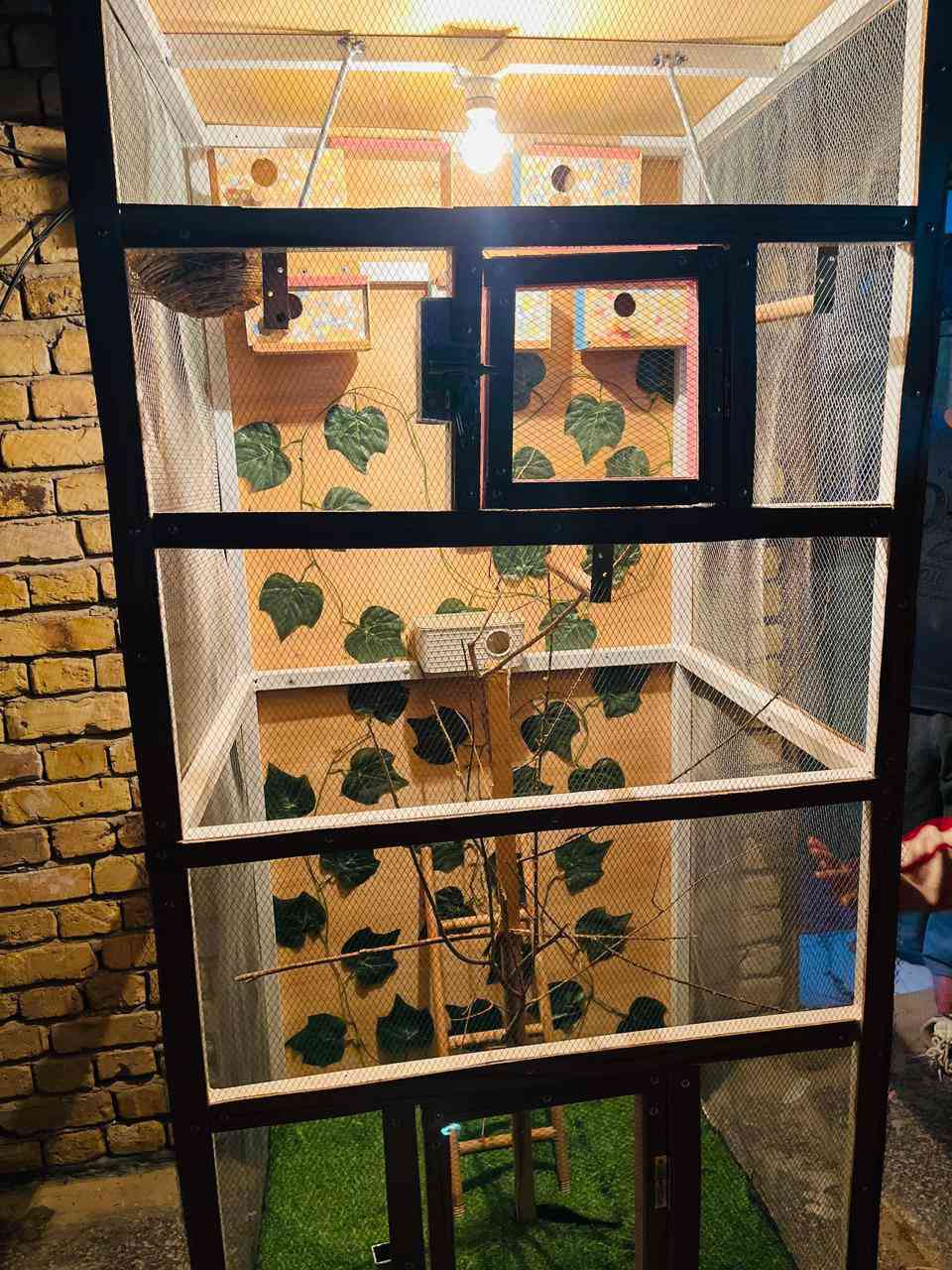 سلام عليكم قفص حديد بلكامل للبيع أرتفاع 190 عرض 85 صفاحيه75


**إذا كنت صاحب هذا الإعلان وتريد حذفه لأي سبب، رجاءا أرسل رسالة إلى الدعم الفني**