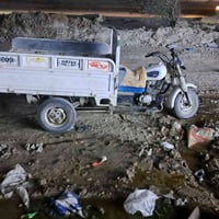 دايون • رقمي • الشطره