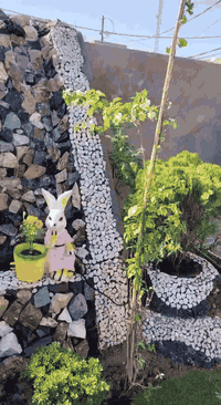 سلام عليكم انواع الديكورات الحدائق نافورات وشلا ل انسب الاسعار ***********
