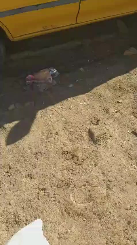 سايبه للبيع كومه حديد اوراق أصولية موديل 2012
مو باسمي السعر 15وبيها مجال رقم احمر تخم دايرات جديد المحرك بي تبخير والكير الرابع بي يفلت 
التواصل ع رقم الهاتف ***********
العنوان ميسان حي الجامعة الثانية 
رقم السياره ميسان
