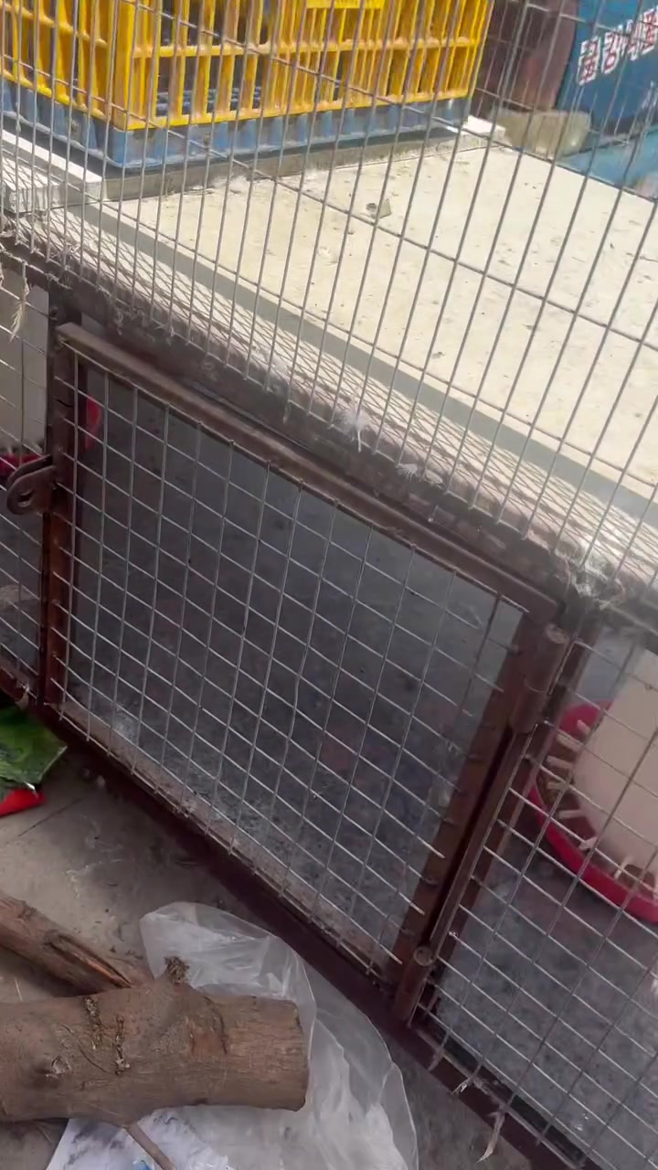 البيع ***********
