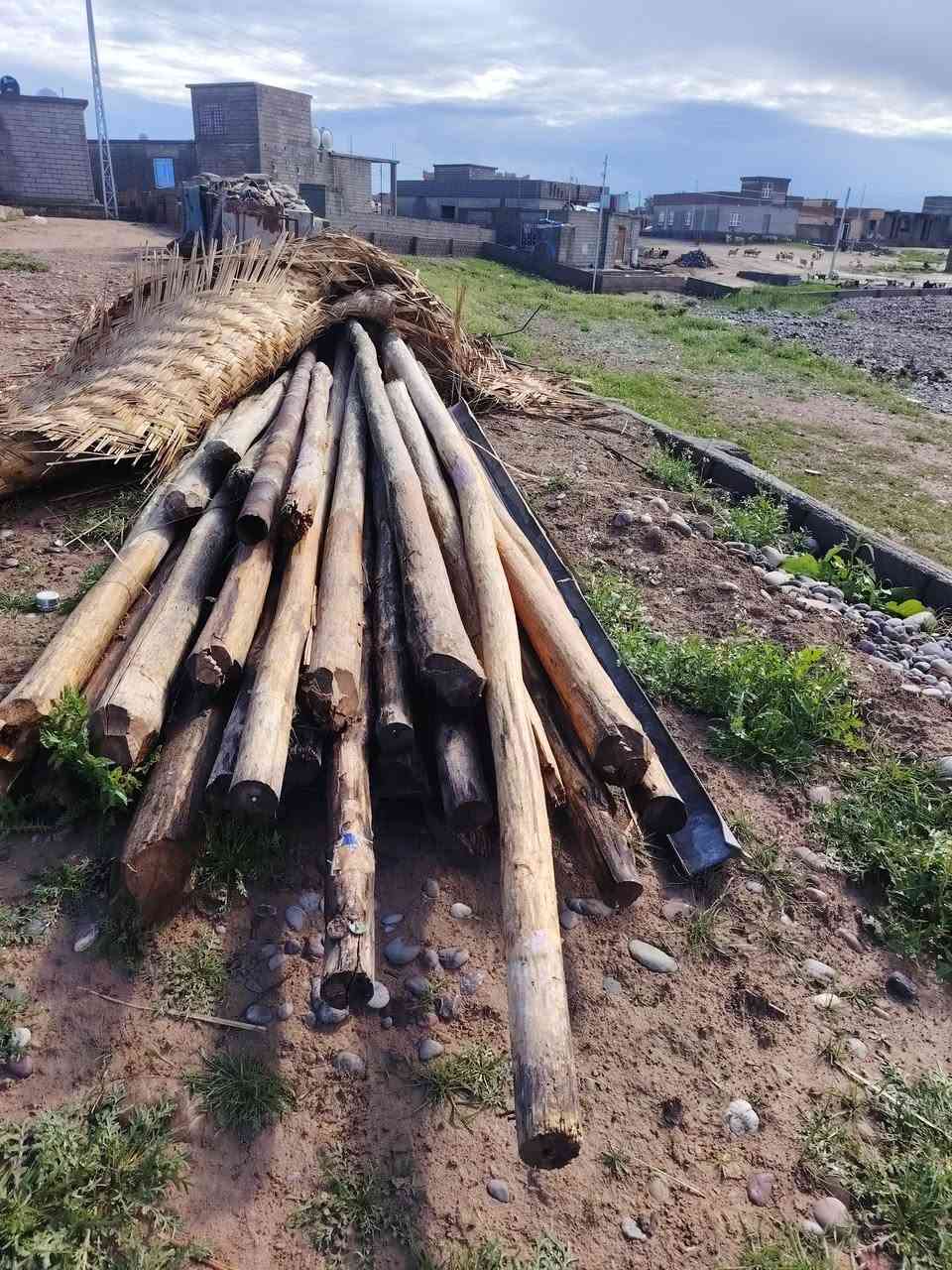 السلام عليكم ورحمة الله وبركاتة
مدود للبيع 25مد و5شلمانات وصرايف ابيع شلع

المكان صلاح الدين الشرقاط قريت شكراً

الشراي تصال ***********
